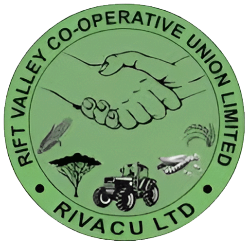 RIVACU LTD