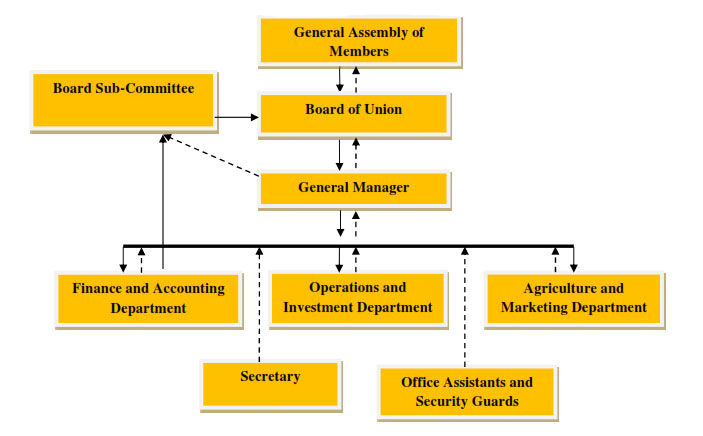 RIVACU Organisation structure