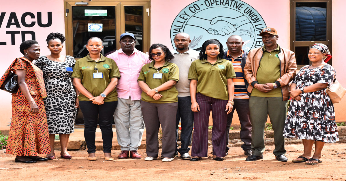 Offer advisory services on development planning and budgeting